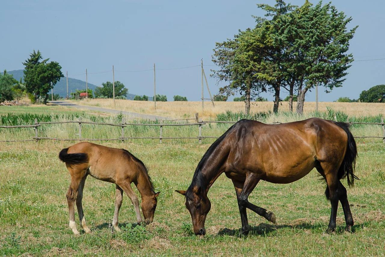 אלברזה Bio Agriturismo Il Melograno Di Banditella Ristorante מראה חיצוני תמונה