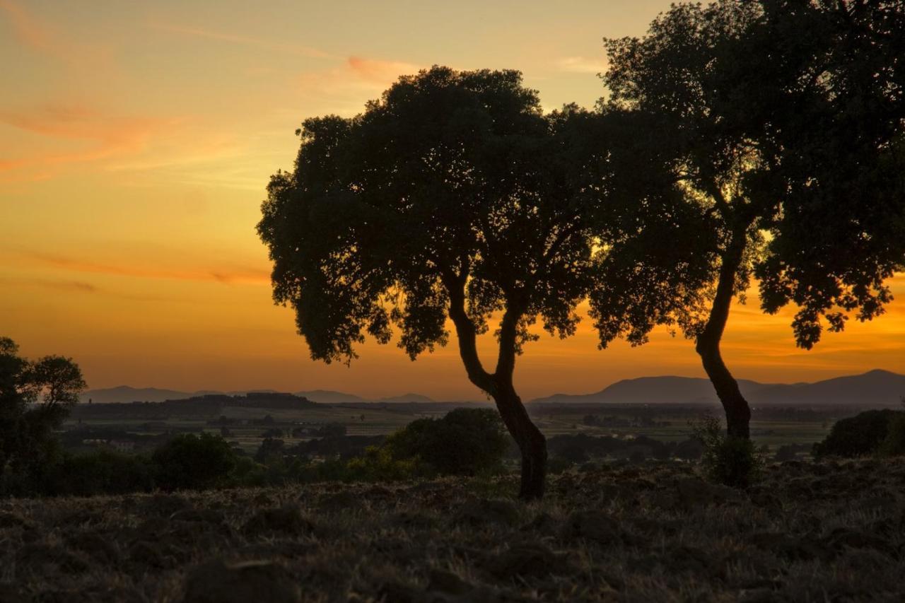 אלברזה Bio Agriturismo Il Melograno Di Banditella Ristorante מראה חיצוני תמונה